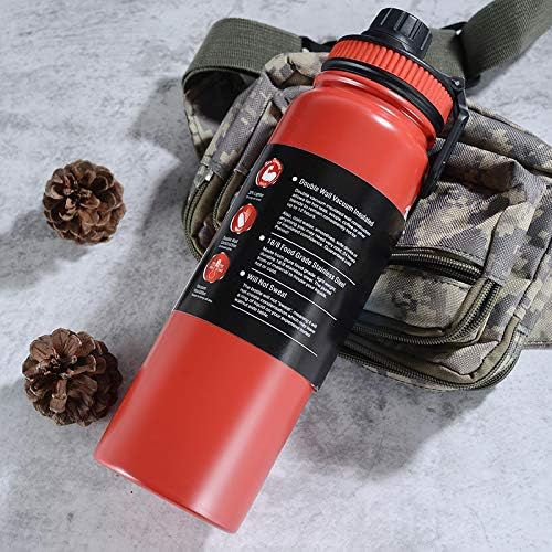 304 Stainless Steel Water Bottle 800ml - Double Wall Vacuum Insulated Hot and Cold - Tea Infuser & Carry Handle